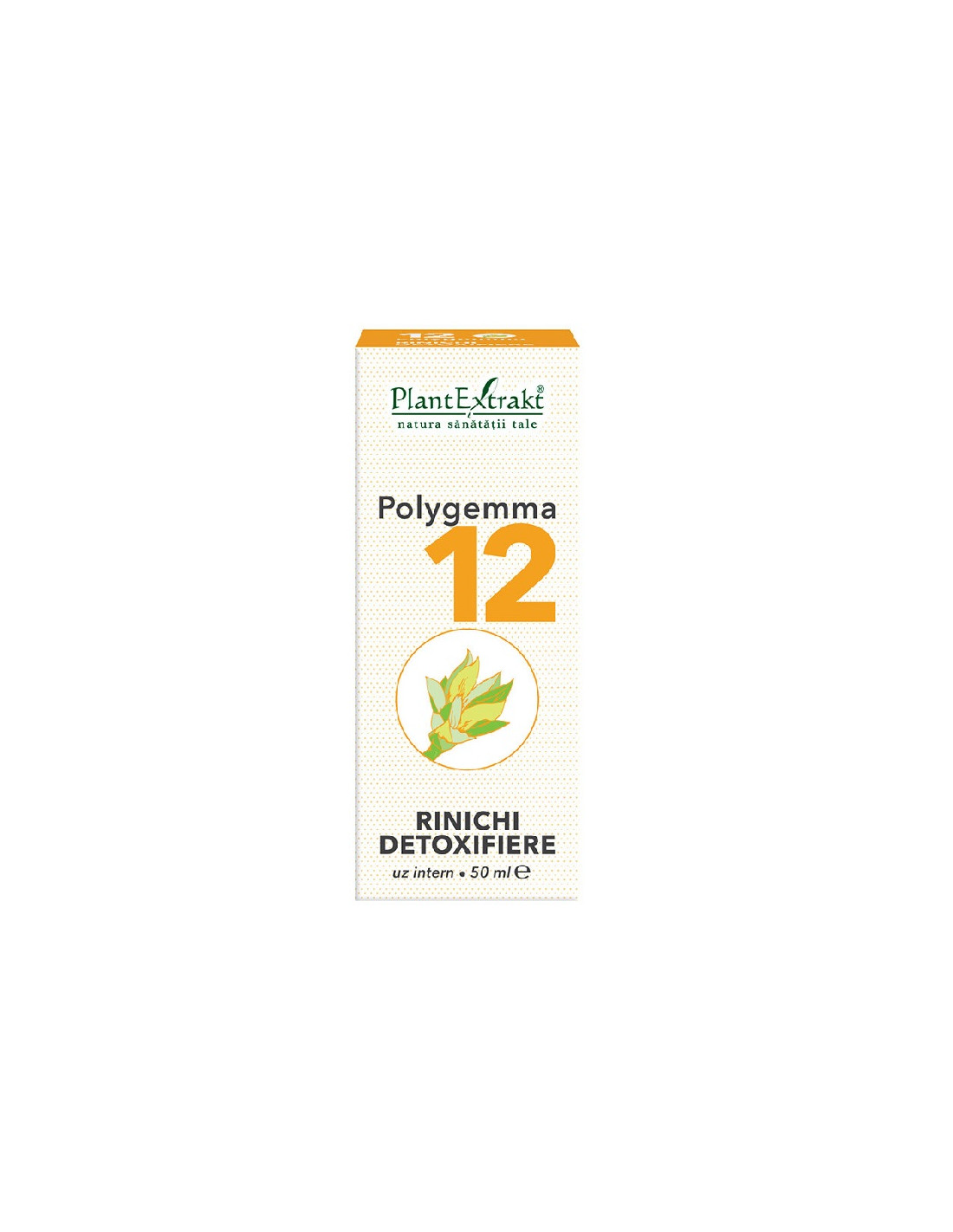 Plantextrakt Polygemma 12 Rinichi Detoxifiere X 50ml